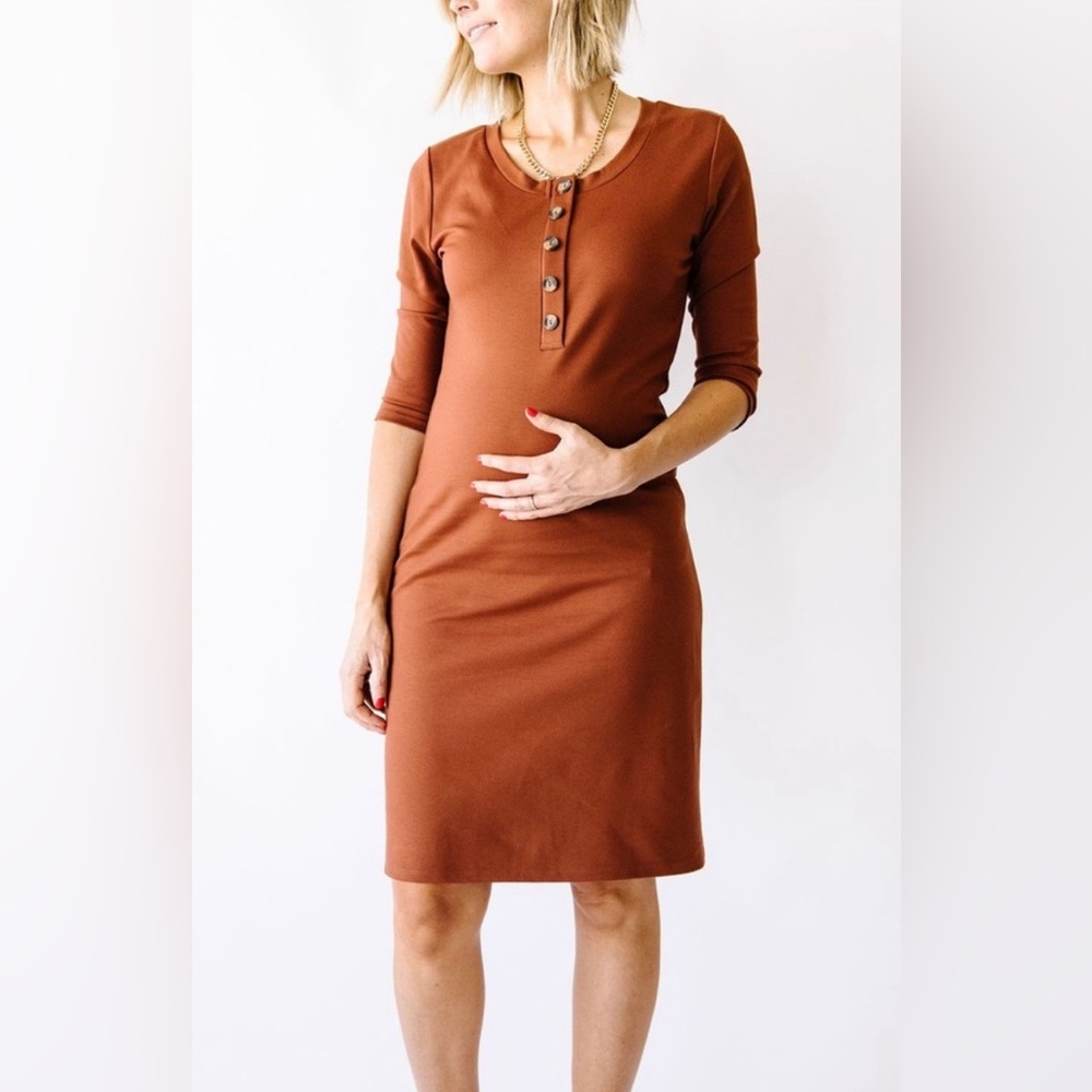Lou Lou & Co Everyday Midi Maternity and Nursing Dress